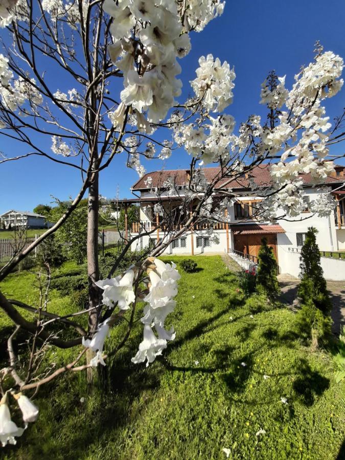 Vila Tara Hategului Exterior photo