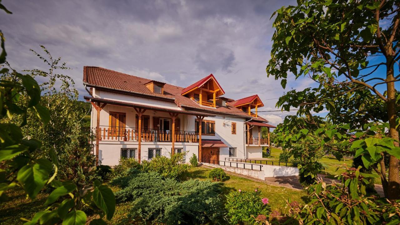 Vila Tara Hategului Exterior photo